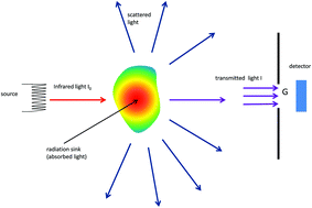 Graphical abstract: Recovery of absorbance spectra of micrometer-sized biological and inanimate particles