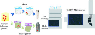 Graphical abstract: A sensitive and selective liquid chromatography mass spectrometry method for simultaneous estimation of anti-diabetic drugs inhibiting DPP-4 enzyme in human plasma: overcoming challenges associated with low recovery and sensitivity