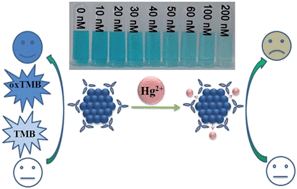Graphical abstract: Synthesis and sensing application of glutathione-capped platinum nanoparticles