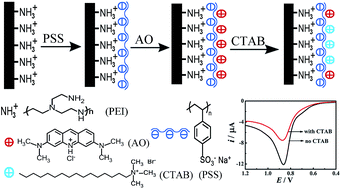 Graphical abstract: A cation exchange based electrochemical sensor for cetyltrimethylammonium bromide detection using an acridine orange/polystyrene sulfonate system