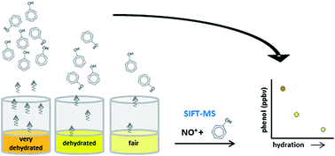 Graphical abstract: Quantification of phenol in urine headspace using SIFT-MS and investigation of variability with respect to urinary concentration