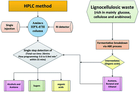 Graphical abstract: Separation of acetone and butyric acid for simultaneous analysis of sugars, volatile fatty acids, acetone and alcohols by HPLC using flow programming