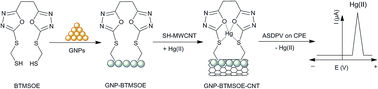 Graphical abstract: Structure-switching of an organothiol neutral carrier by gold nanoparticles decorated on SH-MWCNTs for ultra-trace voltammetric assay of Hg(ii) using a carbon paste electrode
