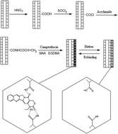Graphical abstract: Molecularly imprinted polymers coated on carbon nanotubes for matrix solid phase dispersion extraction of camptothecin from Camptotheca acuminate