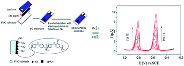 Graphical abstract: A disposable expanded graphite paper electrode with self-doped sulfonated polyaniline/antimony for stripping voltammetric determination of trace Cd and Pb