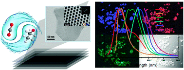 Graphical abstract: A green route to fabricate MoS2 nanosheets in water–ethanol–CO2