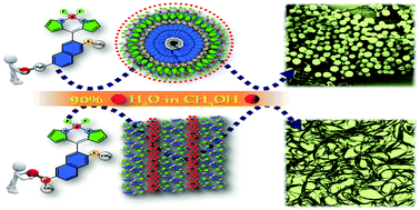 Graphical abstract: Morphological tuning via structural modulations in AIE luminogens with the minimum number of possible variables and their use in live cell imaging