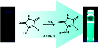 Aminomaleimide fluorophores: A simple functional group with bright, solvent dependent emission