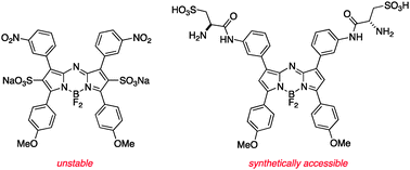 Graphical abstract: Aza-BODIPY dyes with enhanced hydrophilicity
