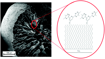 Graphical abstract: Effective Am(iii)/Eu(iii) separations using 2,6-bis(1,2,4-triazin-3-yl)pyridine (BTP) functionalised titania particles and hierarchically porous beads