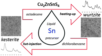 Graphical abstract: Synthesis and surface chemistry of high quality wurtzite and kesterite Cu2ZnSnS4 nanocrystals using tin(ii) 2-ethylhexanoate as a new tin source