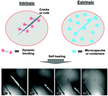 Graphical abstract: Recent strategies to develop self-healable crosslinked polymeric networks
