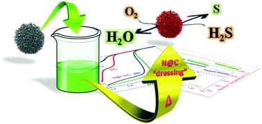Graphical abstract: A highly N-doped carbon phase “dressing” of macroscopic supports for catalytic applications