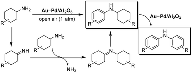 Graphical abstract: Supported gold–palladium alloy nanoparticle catalyzed tandem oxidation routes to N-substituted anilines from non-aromatic compounds