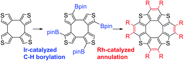 Graphical abstract: Diversity-oriented synthesis of tetrathia[8]circulenes by sequential C–H borylation and annulation