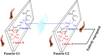 Graphical abstract: Same data, different structures: diastereoisomers with substantially identical NMR data from nature