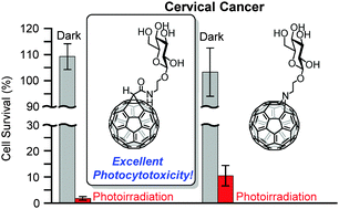 Graphical abstract: Efficient singlet oxygen generation from sugar pendant C60 derivatives for photodynamic therapy
