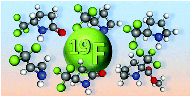 Graphical abstract: Trifluoromethyl nitrogen heterocycles: synthetic aspects and potential biological targets