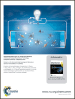 Graphical abstract: Inside back cover