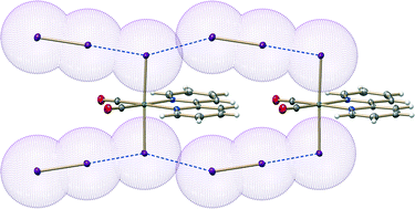 Graphical abstract: Fine-tuning halogen bonding properties of diiodine through halogen–halogen charge transfer – extended [Ru(2,2′-bipyridine)(CO)2X2]·I2 systems (X = Cl, Br, I)