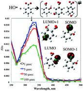 Graphical abstract: Experimental and theoretical studies on aqueous-phase reactivity of hydroxyl radicals with multiple carboxylated and hydroxylated benzene compounds