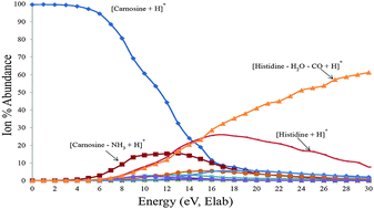 Graphical abstract: Collision-induced dissociation products of the protonated dipeptide carnosine: structural elucidation, fragmentation pathways and potential energy surface analysis