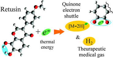Graphical abstract: Low-energy electron interaction with retusin extracted from Maackia amurensis: towards a molecular mechanism of the biological activity of flavonoids