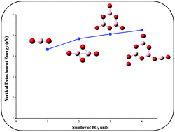 Graphical abstract: Superhalogens beget superhalogens: a case study of (BO2)n oligomers