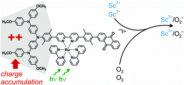 Graphical abstract: Photoinduced charge accumulation by metal ion-coupled electron transfer