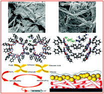 Graphical abstract: Multifunctional biosensors based on peptide–polyelectrolyte conjugates