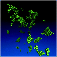 Graphical abstract: Theoretical predictions of structures in dispersions containing charged colloidal particles and non-adsorbing polymers