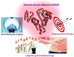 Graphical abstract: Simple bioconjugate chemistry serves great clinical advances: albumin as a versatile platform for diagnosis and precision therapy