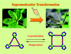 Graphical abstract: Supramolecular transformations within discrete coordination-driven supramolecular architectures