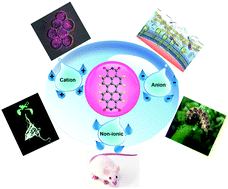 Graphical abstract: Water-soluble perylenediimides: design concepts and biological applications