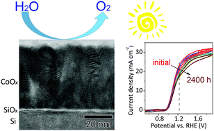 Graphical abstract: 570 mV photovoltage, stabilized n-Si/CoOx heterojunction photoanodes fabricated using atomic layer deposition