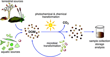 Graphical abstract: Research highlights: challenges in the characterization, storage, and isolation of natural organic matter