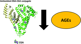 Graphical abstract: New knowledge on the antiglycoxidative mechanism of chlorogenic acid