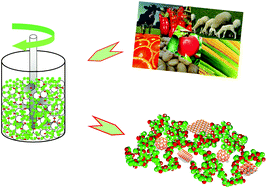 Graphical abstract: Mechanical milling as a technology to produce structural and functional bio-nanocomposites