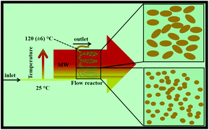 Graphical abstract: A microwave promoted continuous flow approach to self-assembled hierarchical hematite superstructures