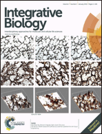 Graphical abstract: Front cover