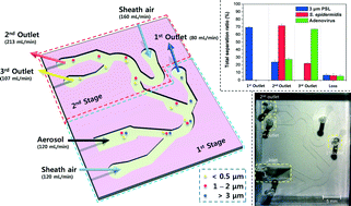 Graphical abstract: Continuous aerosol size separator using inertial microfluidics and its application to airborne bacteria and viruses