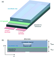 Graphical abstract: Efficient coupling of acoustic modes in microfluidic channel devices