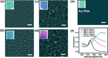 Graphical abstract: Optofluidic guiding, valving, switching and mixing based on plasmonic heating in a random gold nanoisland substrate