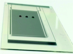 Graphical abstract: Rapid and sensitive detection of antibiotic resistance on a programmable digital microfluidic platform