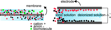 Graphical abstract: Microfluidic desalination techniques and their potential applications