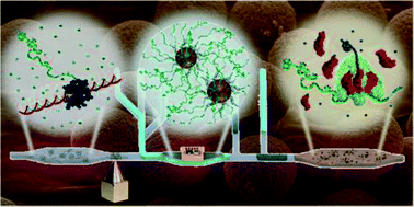 Graphical abstract: On-chip automation of cell-free protein synthesis: new opportunities due to a novel reaction mode