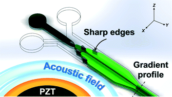 Graphical abstract: A spatiotemporally controllable chemical gradient generator via acoustically oscillating sharp-edge structures