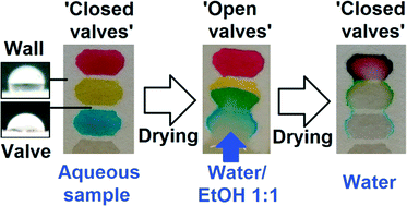 Graphical abstract: Solvent-dependent on/off valving using selectively permeable barriers in paper microfluidics