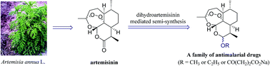 Graphical abstract: Artemisinin, a miracle of traditional Chinese medicine