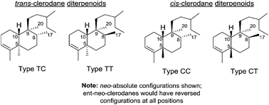 Graphical abstract: Clerodane diterpenes: sources, structures, and biological activities